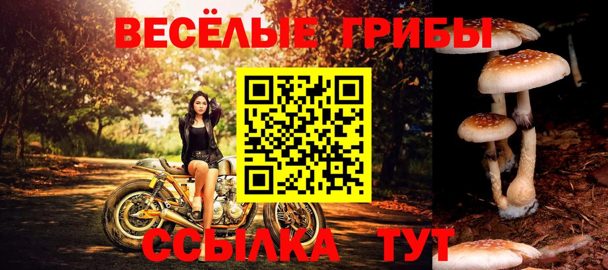 Заречный  Псилоцибиновые грибы Psilocybe  Вход с VPN  Галлюциногенные грибы Cubensis 